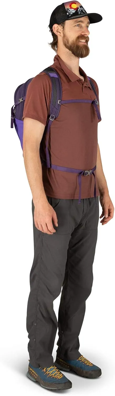 Osprey Daylite Plus Commuter Backpack, Dream Purple